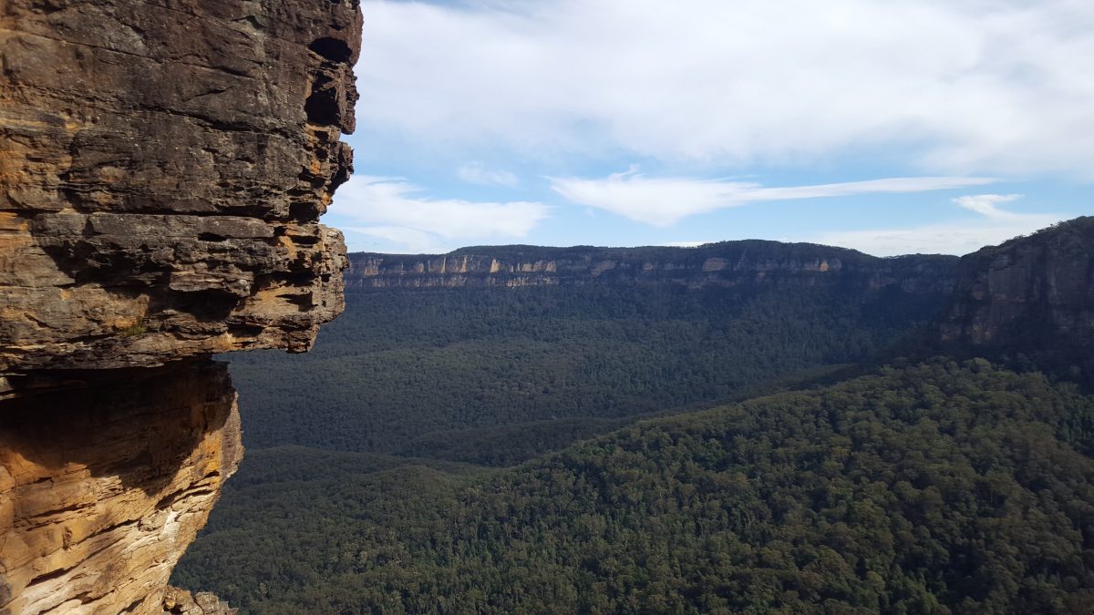 Article : Retour aux Blue Mountains