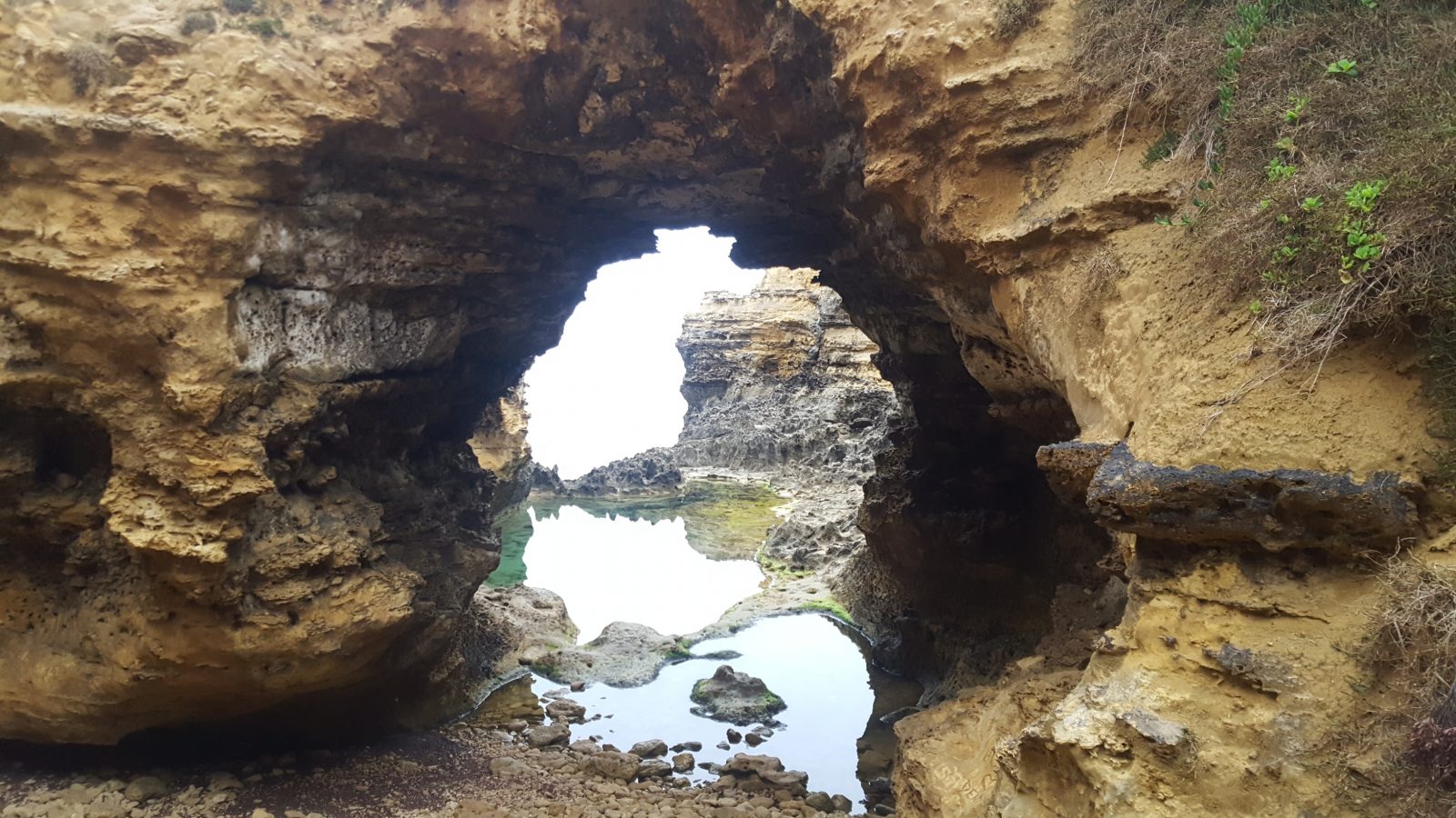 The Grotto entrée