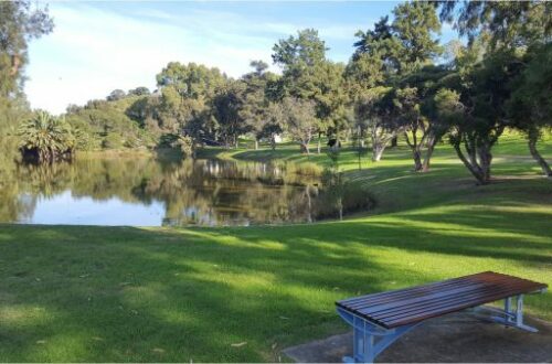 Article : Promenade au jardin botanique de Perth