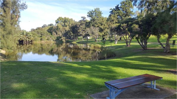 Article : Promenade au jardin botanique de Perth