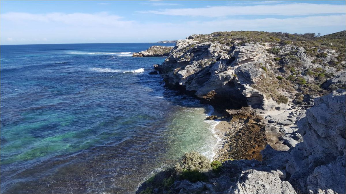 Article : Balade à vélo à Rottnest Island