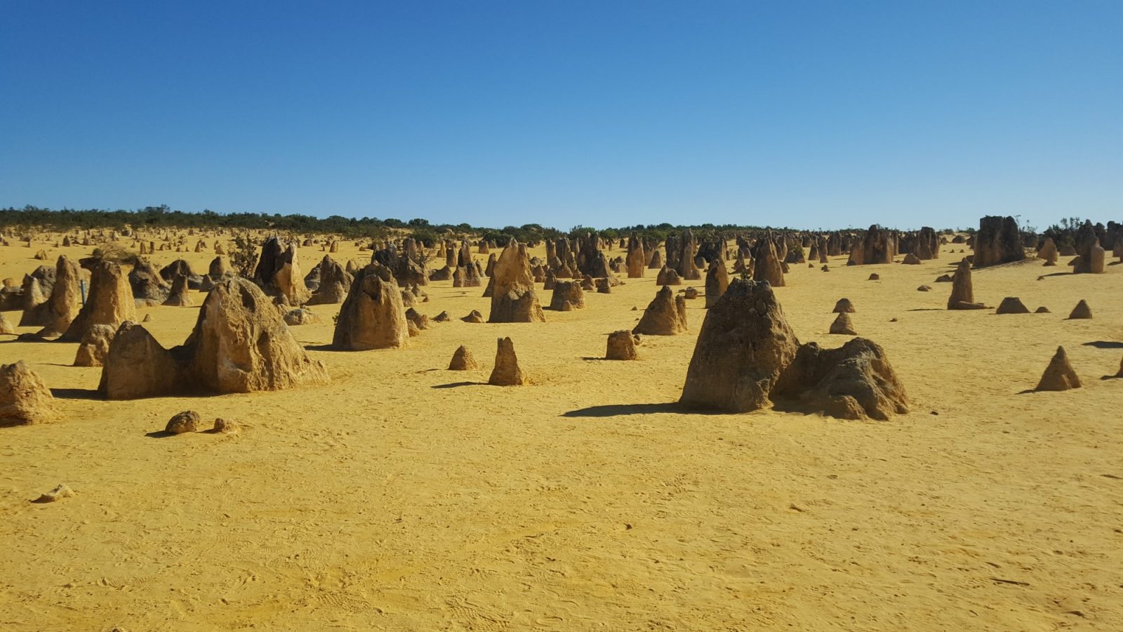 Pinnacles Nambung