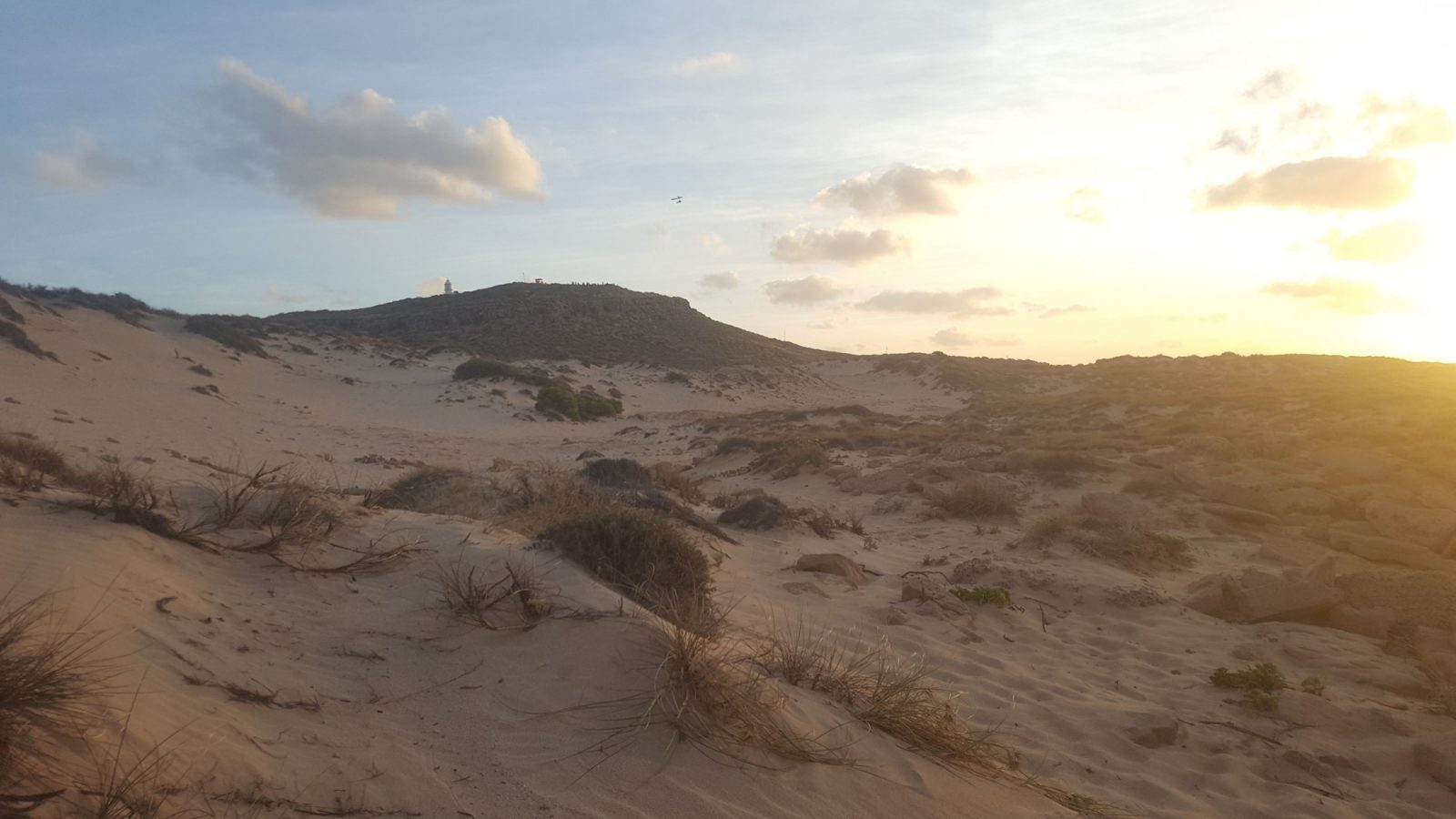 Exmouth dunes de sable