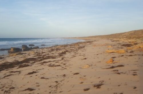 Article : Exmouth, une destination phare du Western Australia
