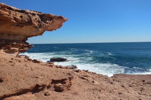 Article : Entre océan et désert, le paradoxe australien
