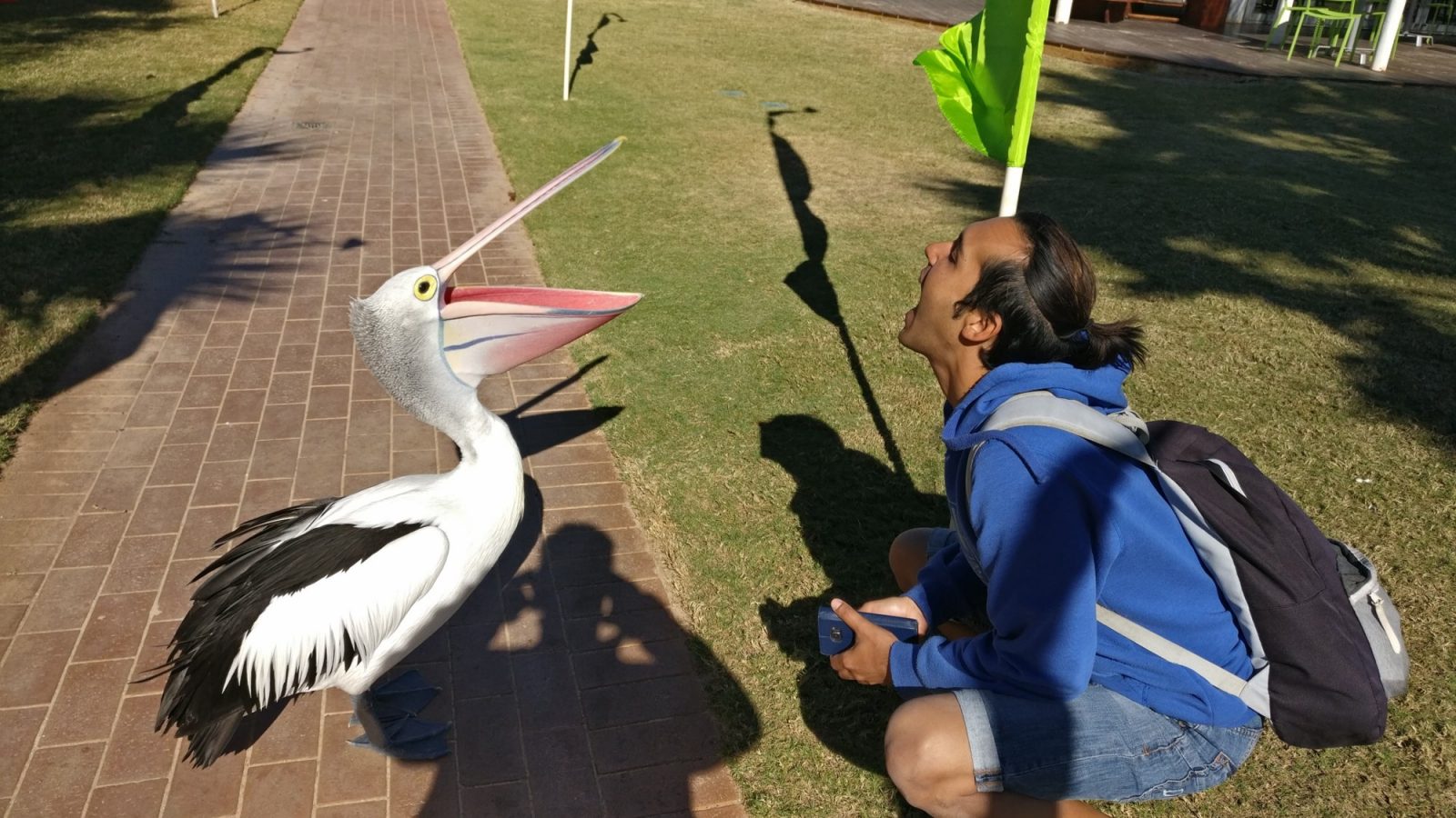 Monkey Mia P&eacute;lican bouche