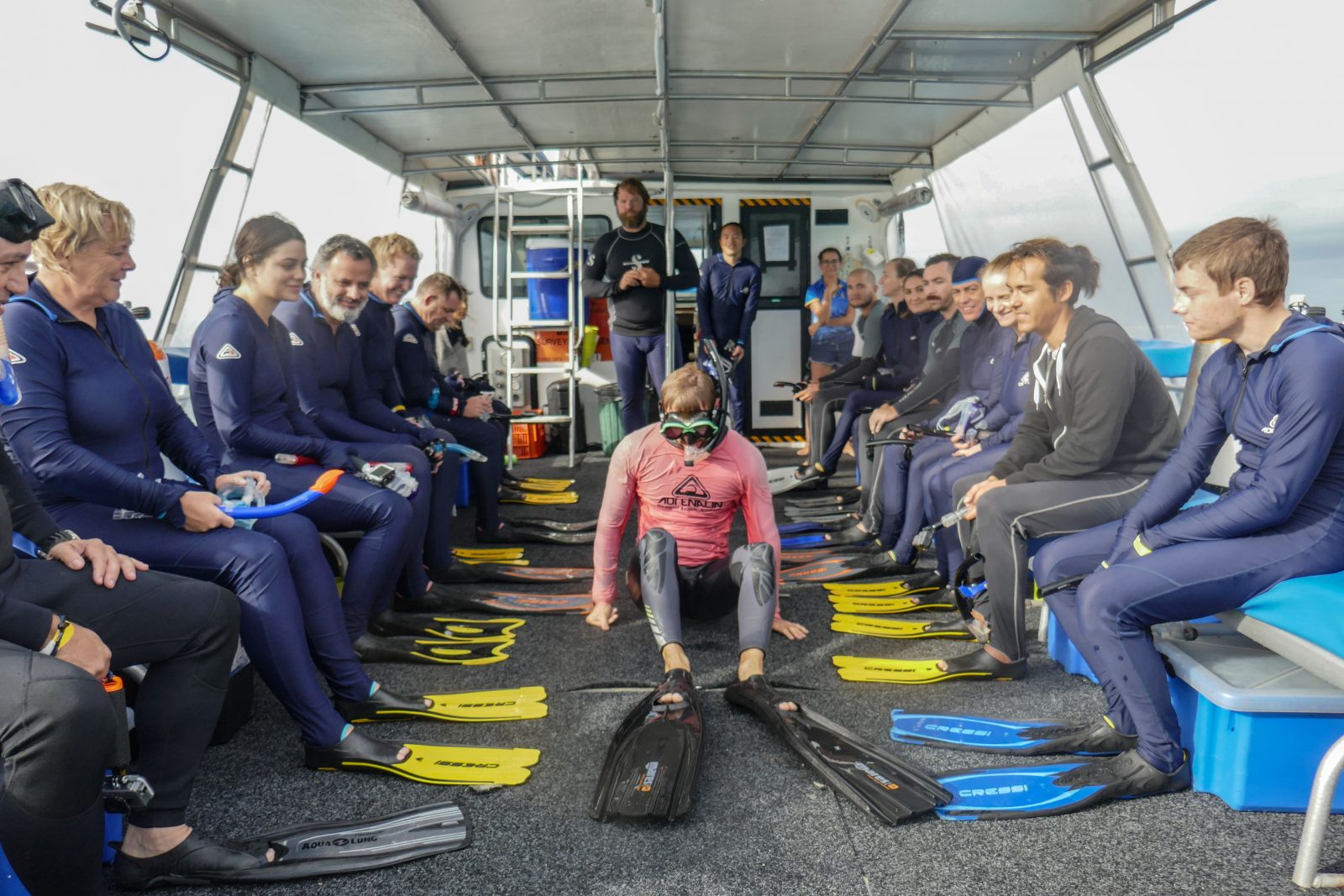 R&egrave;gles plong&eacute;e Ningaloo Whale Sharks