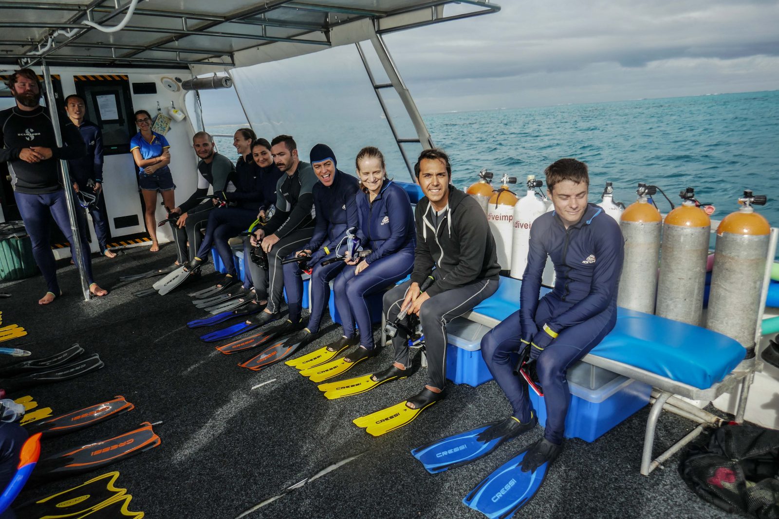 Cours de plong&eacute;e Ningaloo Whale Sharks