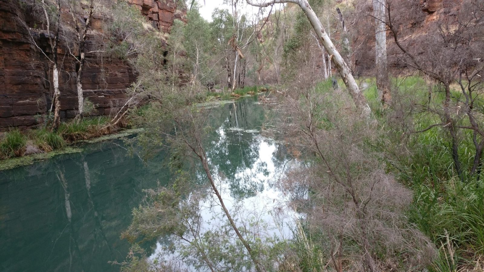 Rivi&egrave;re Dales Gorge